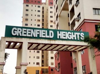 Bengal Greenfield Heights+++++++++